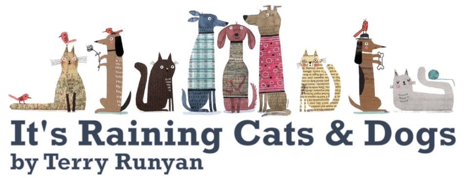 Benartex Contempo It's Raining Cats & Dogs Fabric Collection