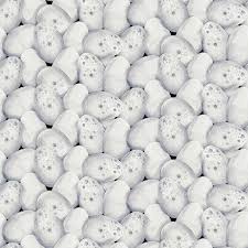 Henry Glass Farm Raised Fabric Collection Speckled Eggs on White Authentic Premium 100% Quilt Shop Quality Cotton Fabric