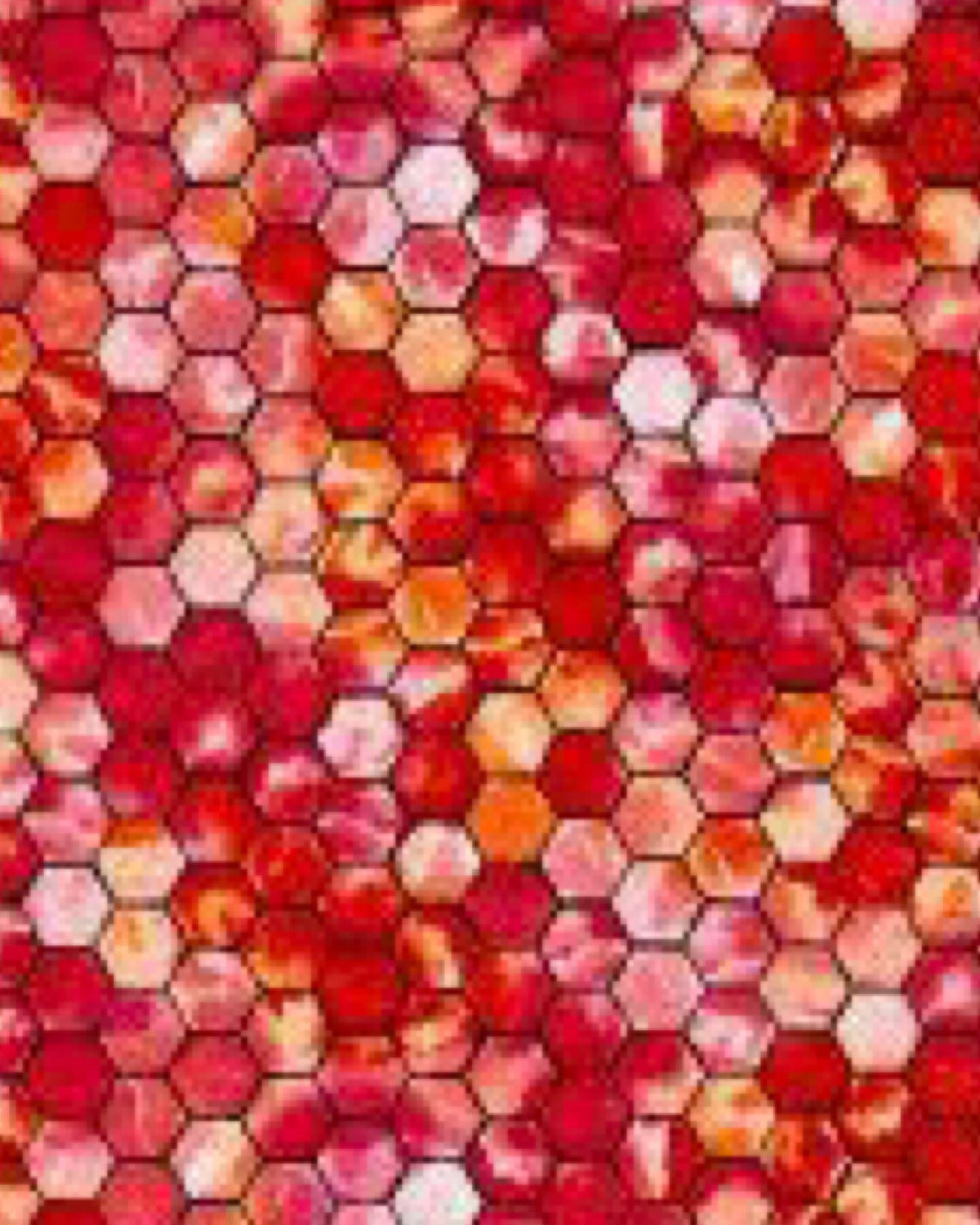 Ink & Arrow Junebee Fabric Collection Honeycomb on Reds