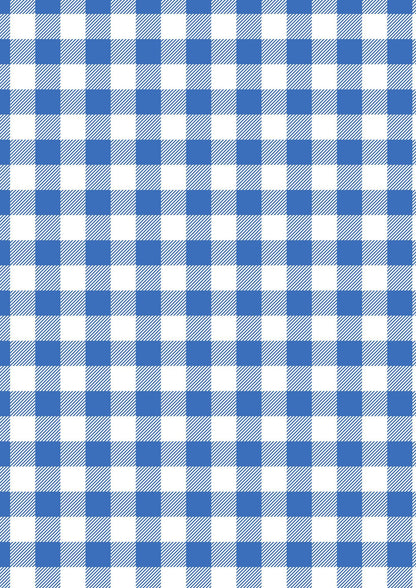 Lewis & Irene Americana Fabric Collection Blue Plaid Authentic Premium 100% Cotton Quilt Shop Quality Fabrics