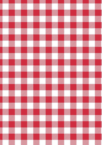 Lewis & Irene Americana Fabric Collection Red Plaid Authentic Premium 100% Cotton Quilt Shop Quality Fabrics
