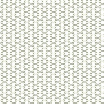 Maywood Studio Kimberbell Vintage Flora Fabric Collection Honeycomb on Green Premium 100% Cotton Quilt Shop Quality Fabrics