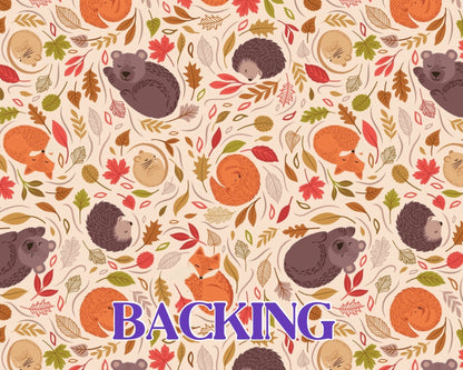 Lewis & Irene A Winter Nap Fabric Collection Quilt Kit #3 Finished Size 48”x48”