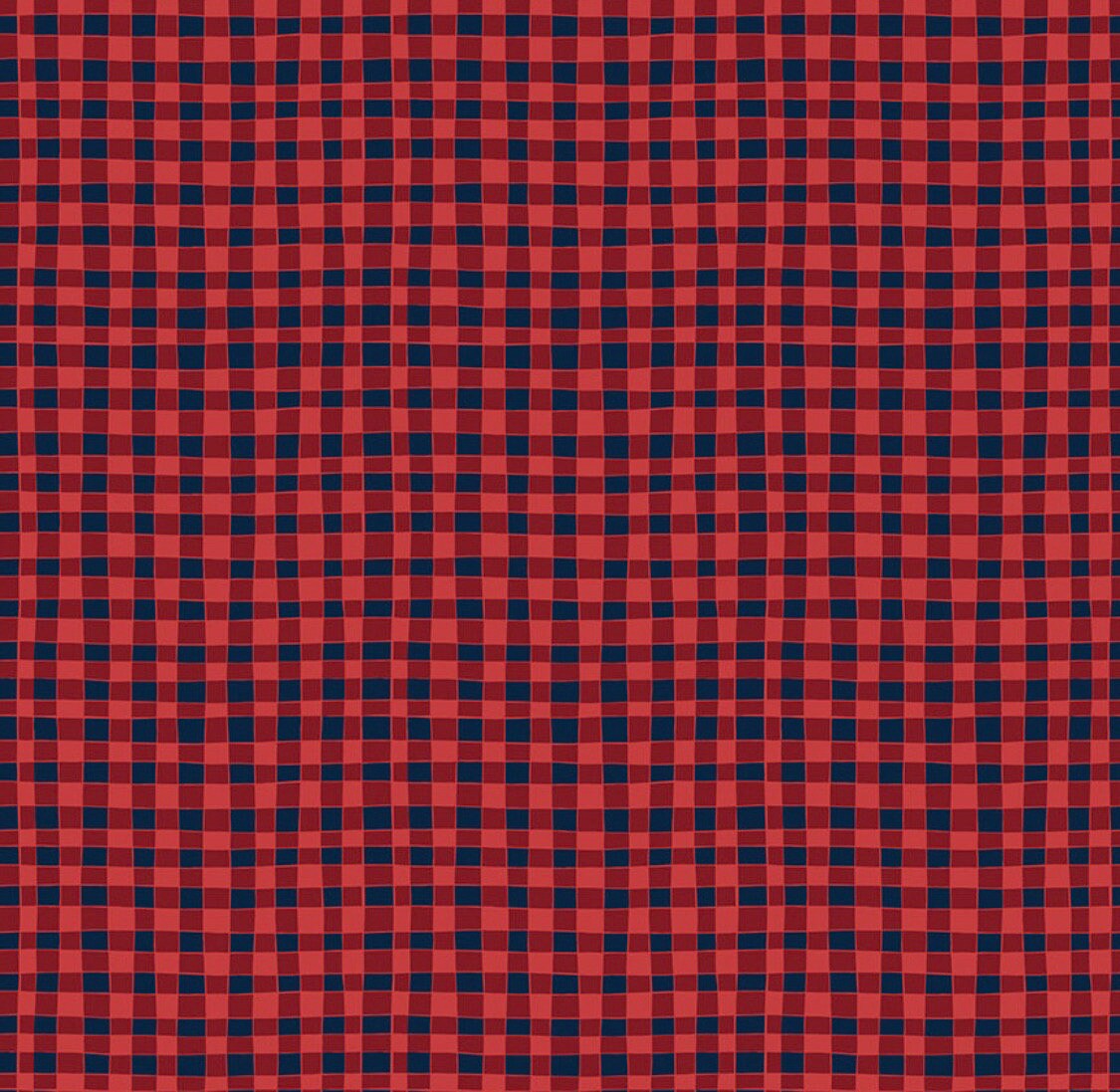 Riley Blake Love You S'more Fabric Collection Gingham on Red Authentic Premium 100% Cotton Quilt Shop Quality Fabrics