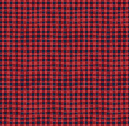Riley Blake Love You S'more Fabric Collection Gingham on Red Authentic Premium 100% Cotton Quilt Shop Quality Fabrics