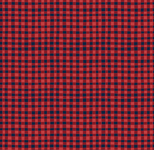 Riley Blake Love You S'more Fabric Collection Gingham on Red Authentic Premium 100% Cotton Quilt Shop Quality Fabrics