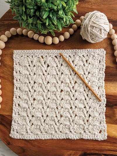 Annie's Crochet Learn to Crochet Gansey Dishcloths - 8 Projects Per Pattern Book