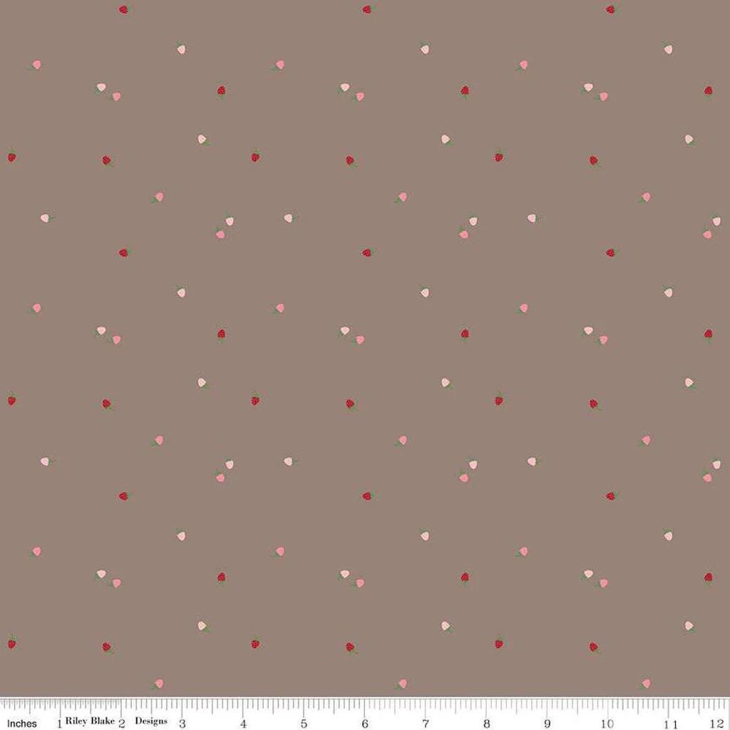 Riley Blake Jennifer Long To Grandmother's House Fabric Collection Bit of Berries on Pewter Premium 100% Cotton Quilt Shop Quality Fabrics