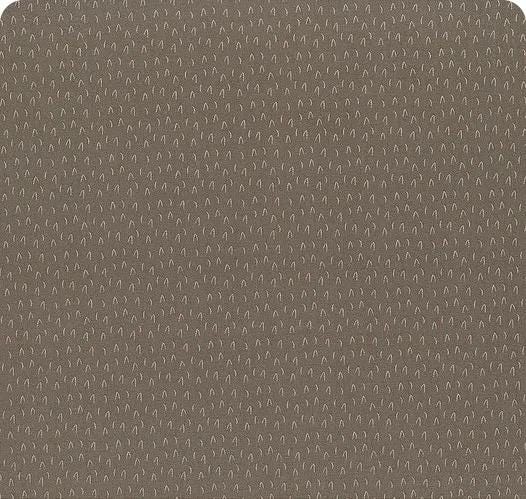 Riley Blake Jennifer Long To Grandmother's House Fabric Collection Big Bad Wolf on Pewter Premium 100% Cotton Quilt Shop Quality Fabrics