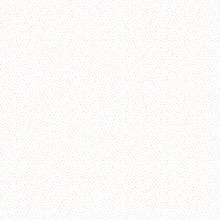 Poppie Cotton Country Confetti Blenders Fabric Collection Pale Moon White Authentic Premium 100% Cotton Quilt Shop Quality Fabric CC20214