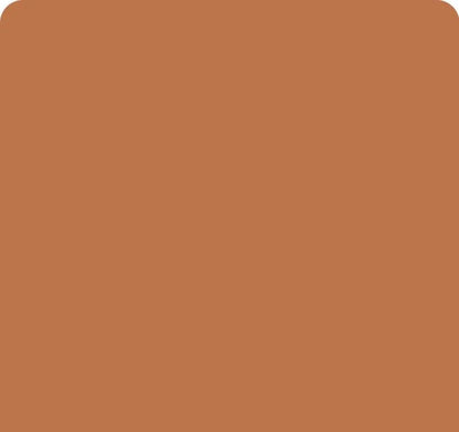 Riley Blake Confetti Cottons Fabric Collection Cinnamon C-120 Cinnamon Authentic Premium 100% Cotton Quilt Shop Quality Fabrics