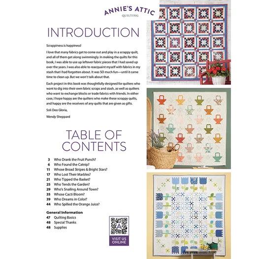 Annie's Quilting Scrap Quilting With Wendy Sheppard Pattern Book: 10 Colorful Designs (Softcover) A141543