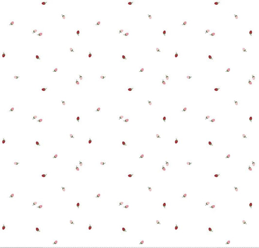 Riley Blake Jennifer Long To Grandmother's House Fabric Collection Bit of Berries on Cloud