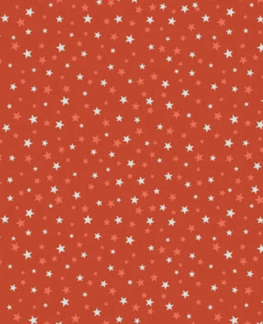Glow-In-The-Dark Lewis & Irene Haunted House Fabric Collection Glowing Dark Stars on Orange A600.2